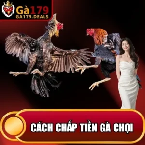 https://daga179.buzz/wp-content/uploads/2026/04/cach-chap-tien-ga-choi.webp