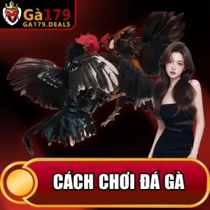 https://daga179.buzz/wp-content/uploads/2026/04/cach-choi-da-ga.webp