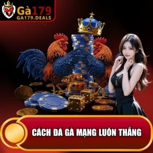 https://daga179.buzz/wp-content/uploads/2026/04/cach-da-ga-mang-luon-thang.webp