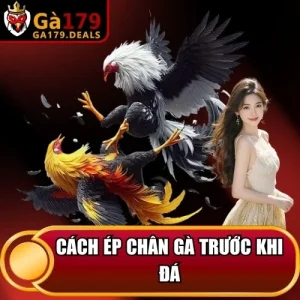 https://daga179.buzz/wp-content/uploads/2026/04/cach-ep-chan-ga-truoc-khi-da.webp