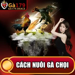https://daga179.buzz/wp-content/uploads/2026/04/cach-nuoi-ga-choi.webp
