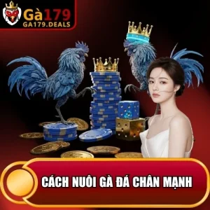 https://daga179.buzz/wp-content/uploads/2026/04/cach-nuoi-ga-da-chan-manh.webp