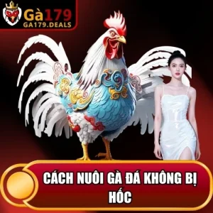 https://daga179.buzz/wp-content/uploads/2026/04/cach-nuoi-ga-da-khong-bi-hoc.webp