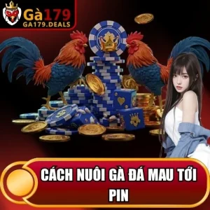https://daga179.buzz/wp-content/uploads/2026/04/cach-nuoi-ga-da-mau-toi-pin.webp