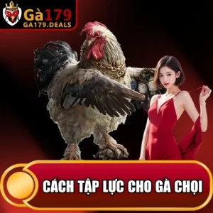 https://daga179.buzz/wp-content/uploads/2026/04/cach-tap-luc-cho-ga-choi.webp