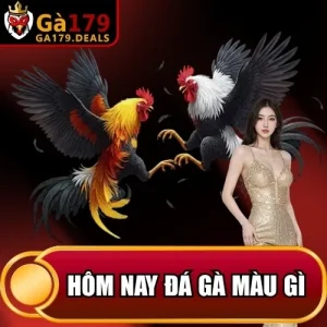 https://daga179.buzz/wp-content/uploads/2026/04/hom-nay-da-ga-mau-gi.webp