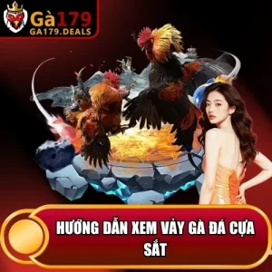 https://daga179.buzz/wp-content/uploads/2026/04/huong-dan-xem-vay-ga-da-cua-sat.webp