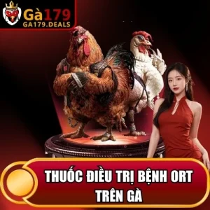 https://daga179.buzz/wp-content/uploads/2026/04/thuoc-dieu-tri-benh-ort-tren-ga.webp